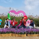 하늘공원 이미지