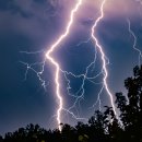 번개목장 이미지