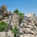 갤러리(Gallery)