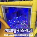 영주 예체능 키즈카페 ㅣ 보호자 무료 키즈카페!