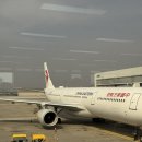 5061 | 중국 동방항공/김포-상하이 MU512, 상하이-인천 MU5061/비즈니스 이코노미 탑승 후기/기내식