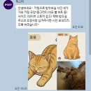 반려동물 아크릴 키링 제작, 픽스티 UV 특수인쇄 후기