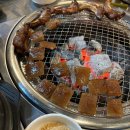 쪽갈비쪽 이미지