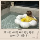 스테이 유수 이미지