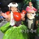 하와이안 훌라 이미지