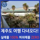 태광민박 | 수원중고자동차 연세카, 제주도 여행 다녀오다!