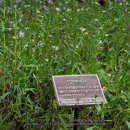 환호해맞이공원 이미지