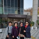 구*회 이미지