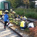 시민공원(상) 이미지