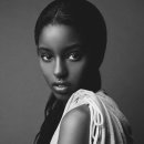 대륙개발 이미지