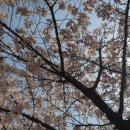 장구의 행정사 이미지