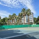 서귀포테니스장(실외) 이미지