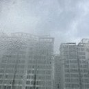 북향 | 북향 창문 결로 해결 후기｜환기해도 안 마르는 이유와 실제 해결 방법