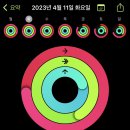 예산(대전) 이미지