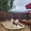 산아래스테이 이미지