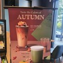 안양시청 | [안양시 평촌] 커피빈 안양시청앞점 방문후기(커피빈 메뉴판, 메뉴 추천)