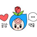 플디 케이크샵(압구정점) 이미지
