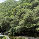 충북낚시등산 | 충북 괴산 쌍곡계곡 여름 여행 추천! 시원한 계곡 물놀이 명소 (주차, 낚시가능 여부)