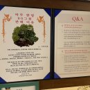 올리브영 대전우송대점 이미지