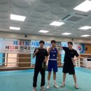 복싱바이러스 이미지