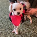 러블리2펜션 이미지