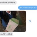 일주일 치 일상 모음