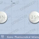 250 이미지