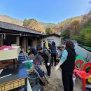 남해 복콩이마을 이미지