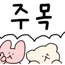 유얼헤어 이미지