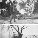 해병 제1상륙사단 | (제59부) 단 2주 만에 미 해병 1사단을 완편으로 (인천상륙작전 <2>)