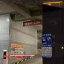 [상무지구 네일] 에스네일 솔직후기(+컬러 추천)
