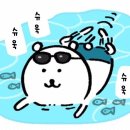 잠실종합운동장 제1수영장 이미지