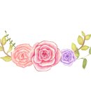 볼케닉스(주) 이미지