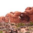 아치스 국립공원 (Arches National Park) II 이미지