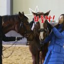 명랑팜 이미지