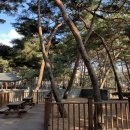 된밭근린공원 이미지