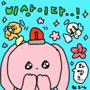 [플리로그] 플레이브랑 이것저것 일상 (+ 세븐틴 버논 생카, 야구 시즌권)