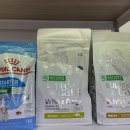 워킹퍼피 이미지