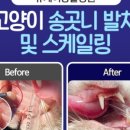 뉴케어 동물병원 이미지
