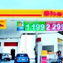 시내바이오 이미지