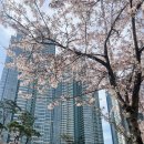 해운대힐스테이트위브 상가 앞 | [부산] 해운대힐스테이트위브 상가에서 유럽느낌물씬. 루틴카페