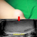 레이디유외과의원 이미지