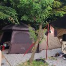 자립A 목장 | [예산] <아그로랜드 태신목장 캠핑장> 다녀왔어요