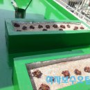 지우건설(주)