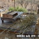 이정호농장 이미지