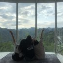 예술인마을 펜션 이미지