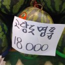 오정청과