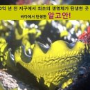 수피부샵 이미지