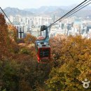 서울 해방촌의 이국적인 맛집을 찾아서 이미지