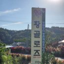 황골장미마을 이미지